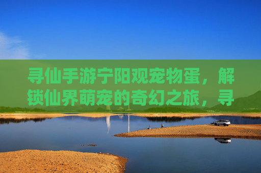 寻仙手游宁阳观宠物蛋，解锁仙界萌宠的奇幻之旅，寻仙手游宁阳观宠物蛋，解锁仙界萌宠的奇幻之旅