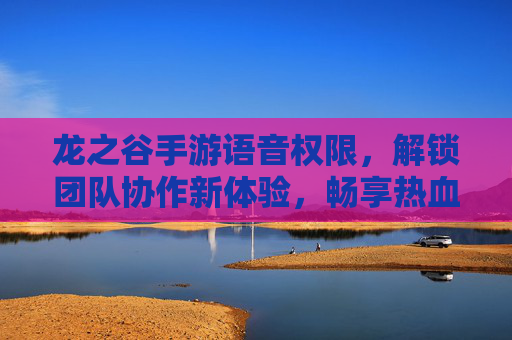 龙之谷手游语音权限，解锁团队协作新体验，畅享热血战斗的即时沟通，龙之谷手游语音权限，解锁团队协作新体验，畅享热血战斗的即时沟通