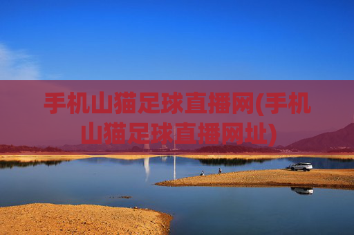 手机山猫足球直播网(手机山猫足球直播网址)