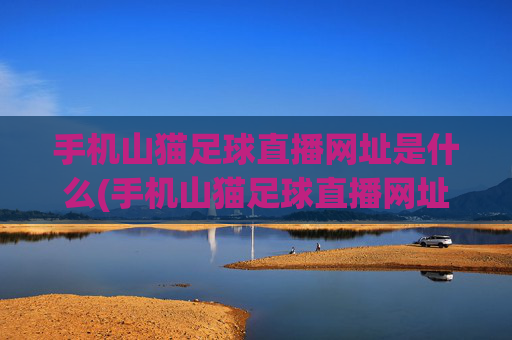 手机山猫足球直播网址是什么(手机山猫足球直播网址是什么啊)
