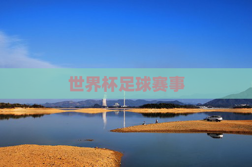 世界杯足球赛事