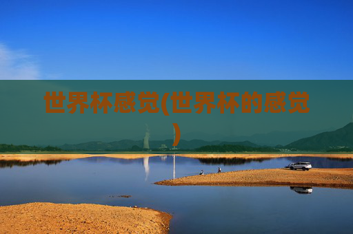 世界杯感觉(世界杯的感觉)