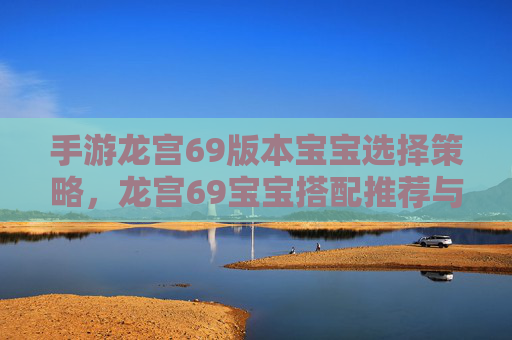 手游龙宫69版本宝宝选择策略,龙宫69宝宝搭配推荐与玩法解析