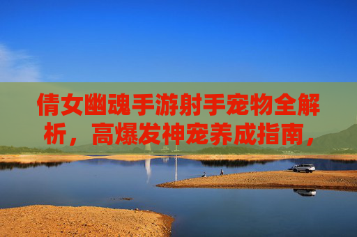 倩女幽魂手游射手宠物全解析,高爆发神宠养成指南,助你成为战场主宰,倩女幽魂手游射手宠物全解析,高爆发神宠养成指南,助你成为战场主宰