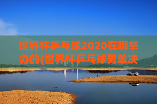 世界杯乒乓球2020在哪举办的(世界杯乒乓球男单决赛)