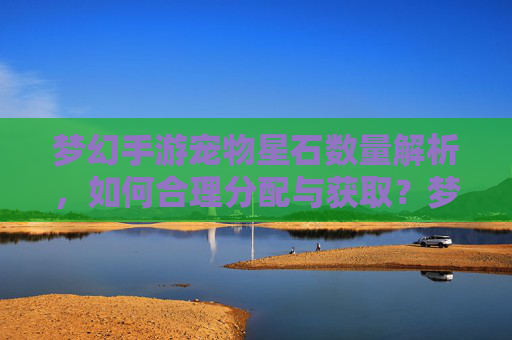 梦幻手游宠物星石数量解析,如何合理分配与获取?梦幻手游宠物星石数量解析,如何合理分配与获取?