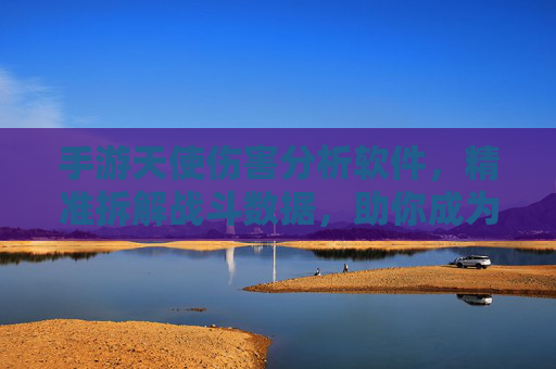 手游天使伤害分析软件,精准拆解战斗数据,助你成为战斗大师