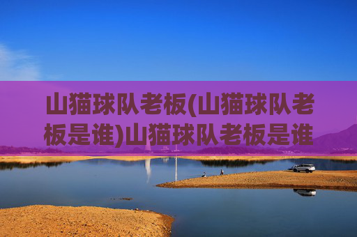山猫球队老板(山猫球队老板是谁)山猫球队老板是谁?