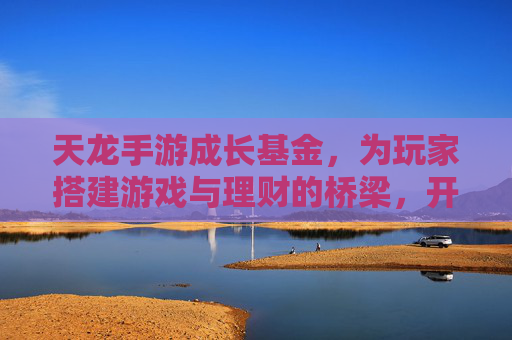 天龙手游成长基金，为玩家搭建游戏与理财的桥梁，开启财富成长新篇章，天龙手游成长基金，为玩家搭建游戏与理财的桥梁，开启财富成长新篇章