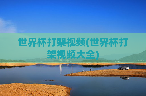 世界杯打架视频(世界杯打架视频大全)