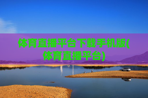 体育直播平台下载手机版(体育直播平台)