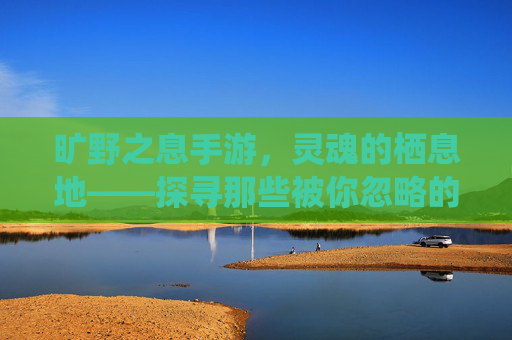 旷野之息手游,灵魂的栖息地——探寻那些被你忽略的细节与体验,旷野之息手游,灵魂的栖息地——探寻那些被你忽略的细节与体验