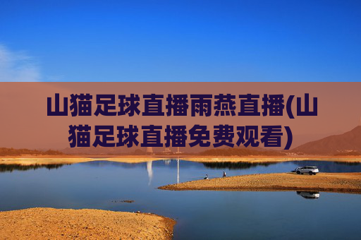 山猫足球直播雨燕直播(山猫足球直播免费观看)