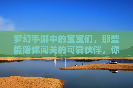梦幻手游中的宝宝们，那些能陪你闯关的可爱伙伴，你都知道吗？梦幻手游中的宝宝们，那些能陪你闯关的可爱伙伴，你都认识吗？