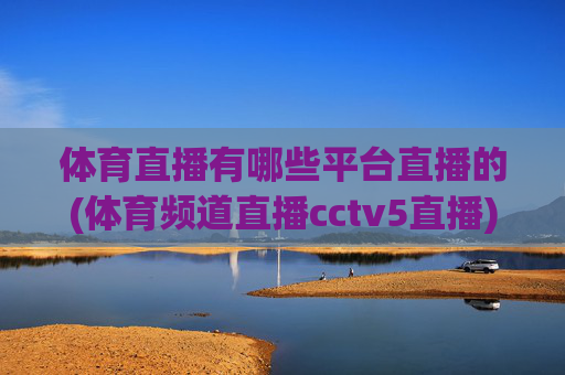 体育直播有哪些平台直播的(体育频道直播cctv5直播)