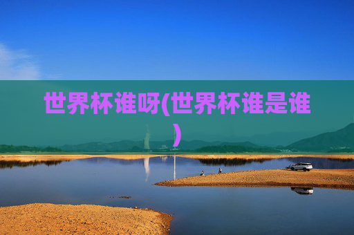 世界杯谁呀(世界杯谁是谁)