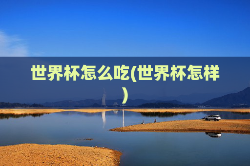 世界杯怎么吃(世界杯怎样)