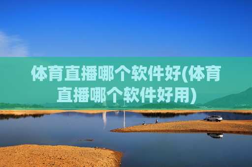 体育直播哪个软件好(体育直播哪个软件好用)