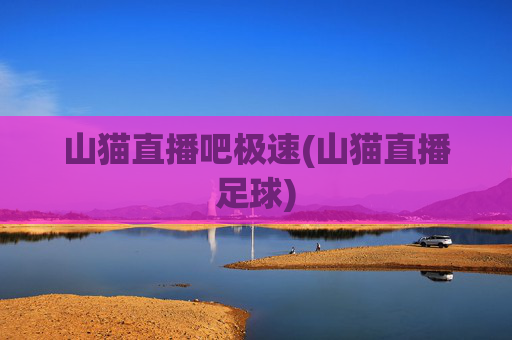山猫直播吧极速(山猫直播足球)