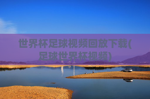 世界杯足球视频回放下载(足球世界杯视频)