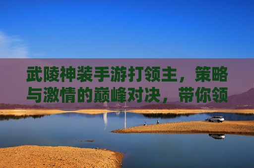 武陵神装手游打领主,策略与激情的巅峰对决,带你领略神装对决的震撼体验