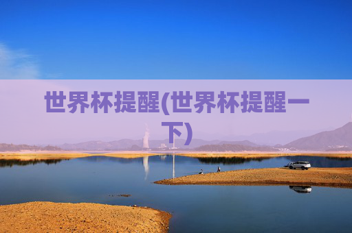 世界杯提醒(世界杯提醒一下)