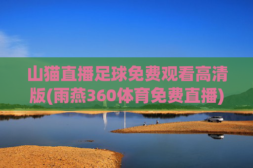 山猫直播足球免费观看高清版(雨燕360体育免费直播)