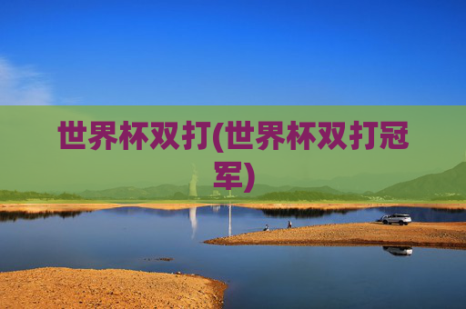 世界杯双打(世界杯双打冠军)
