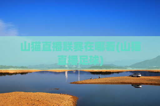 山猫直播联赛在哪看(山猫直播足球)