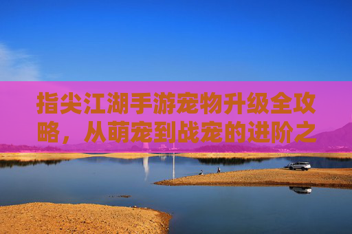 指尖江湖手游宠物升级全攻略，从萌宠到战宠的进阶之路