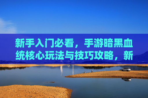 新手入门必看，手游暗黑血统核心玩法与技巧攻略，新手入门必看，手游暗黑血统核心玩法与技巧攻略