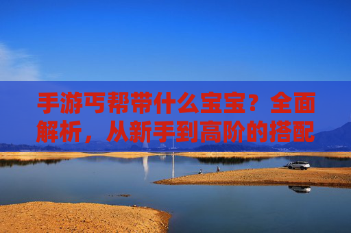 手游丐帮带什么宝宝?全面解析,从新手到高阶的搭配策略与推荐,手游丐帮宝宝搭配策略,从新手到高阶的全面解析与推荐