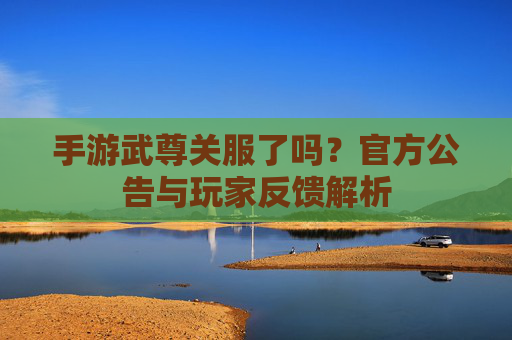 手游武尊关服了吗?官方公告与玩家反馈解析
