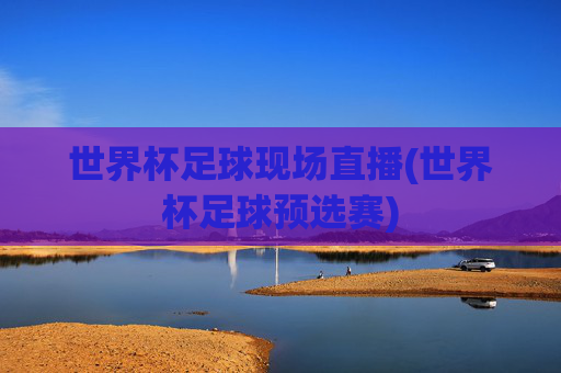 世界杯足球现场直播(世界杯足球预选赛)