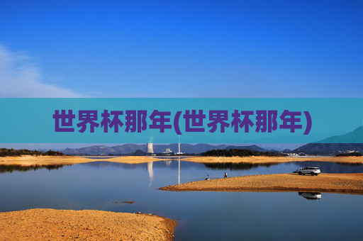 世界杯那年(世界杯那年)