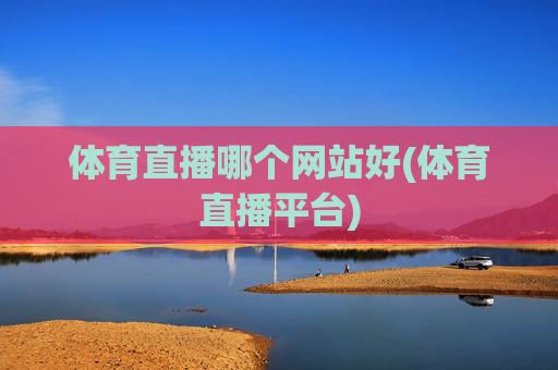 体育直播哪个网站好(体育直播平台)