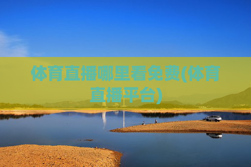 体育直播哪里看免费(体育直播平台)