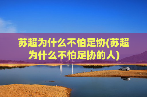 苏超为什么不怕足协(苏超为什么不怕足协的人)