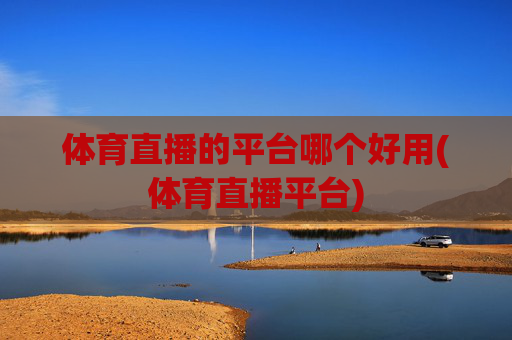 体育直播的平台哪个好用(体育直播平台)