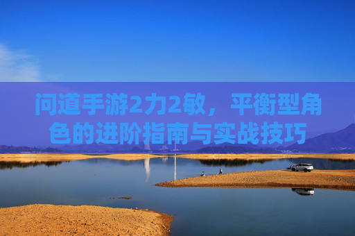 问道手游2力2敏,平衡型角色的进阶指南与实战技巧