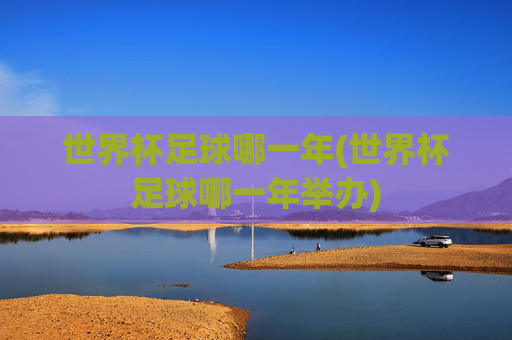 世界杯足球哪一年(世界杯足球哪一年举办)