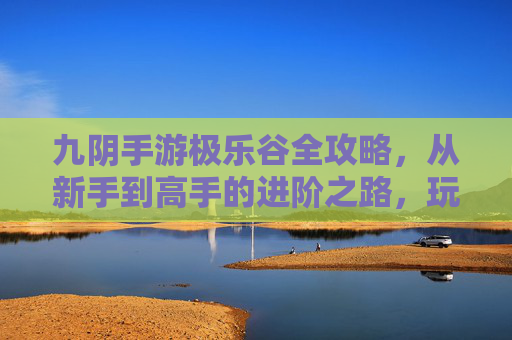 九阴手游极乐谷全攻略,从新手到高手的进阶之路,玩法技巧与资源攻略详解
