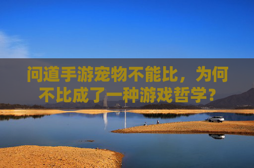 问道手游宠物不能比，为何不比成了一种游戏哲学？