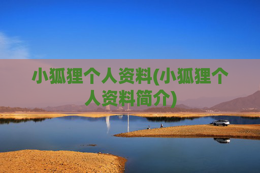 小狐狸个人资料(小狐狸个人资料简介)