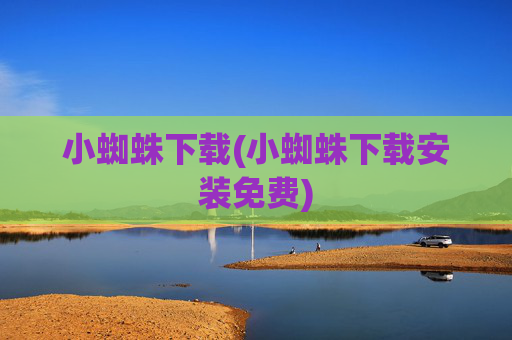 小蜘蛛下载(小蜘蛛下载安装免费)