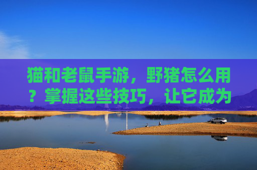 猫和老鼠手游,野猪怎么用?掌握这些技巧,让它成为你的战术核心
