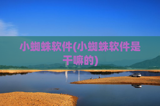 小蜘蛛软件(小蜘蛛软件是干嘛的)