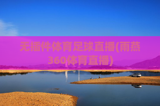 无插件体育足球直播(雨燕360体育直播)