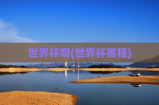 世界杯啊(世界杯赛程)