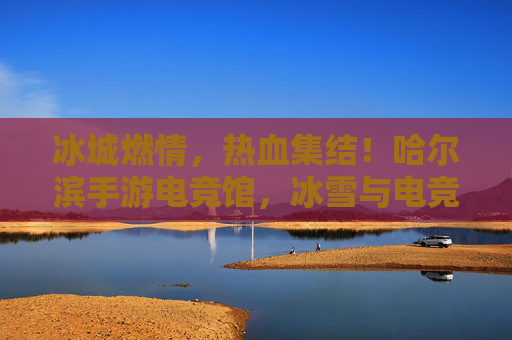 冰城燃情，热血集结！哈尔滨手游电竞馆，冰雪与电竞的奇妙碰撞，让游戏热情在都市中尽情绽放